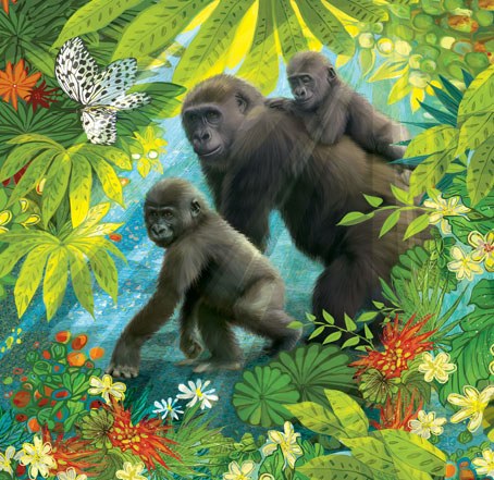 PAT0398 Gorillas