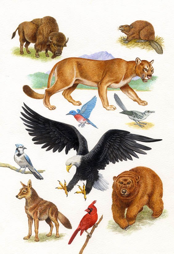 AR PLH0014Native American Animals