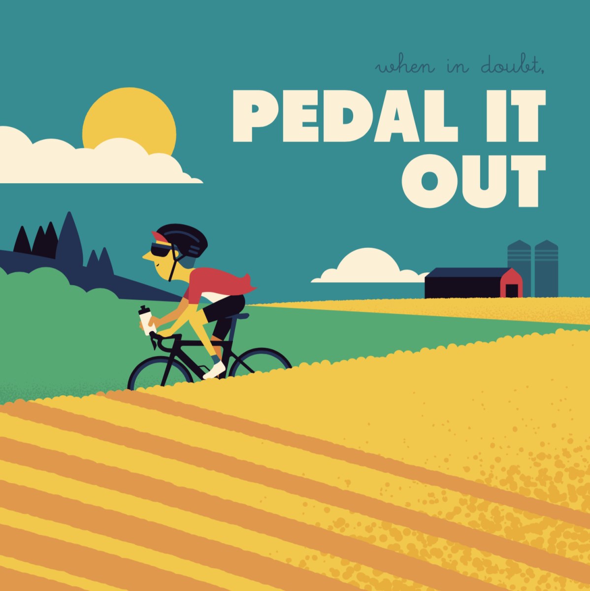 WLS0215 pedalitout
