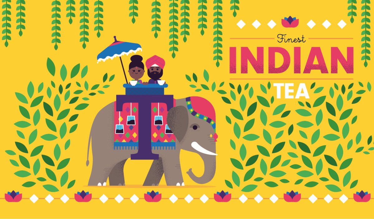 WLS0146 indiantea
