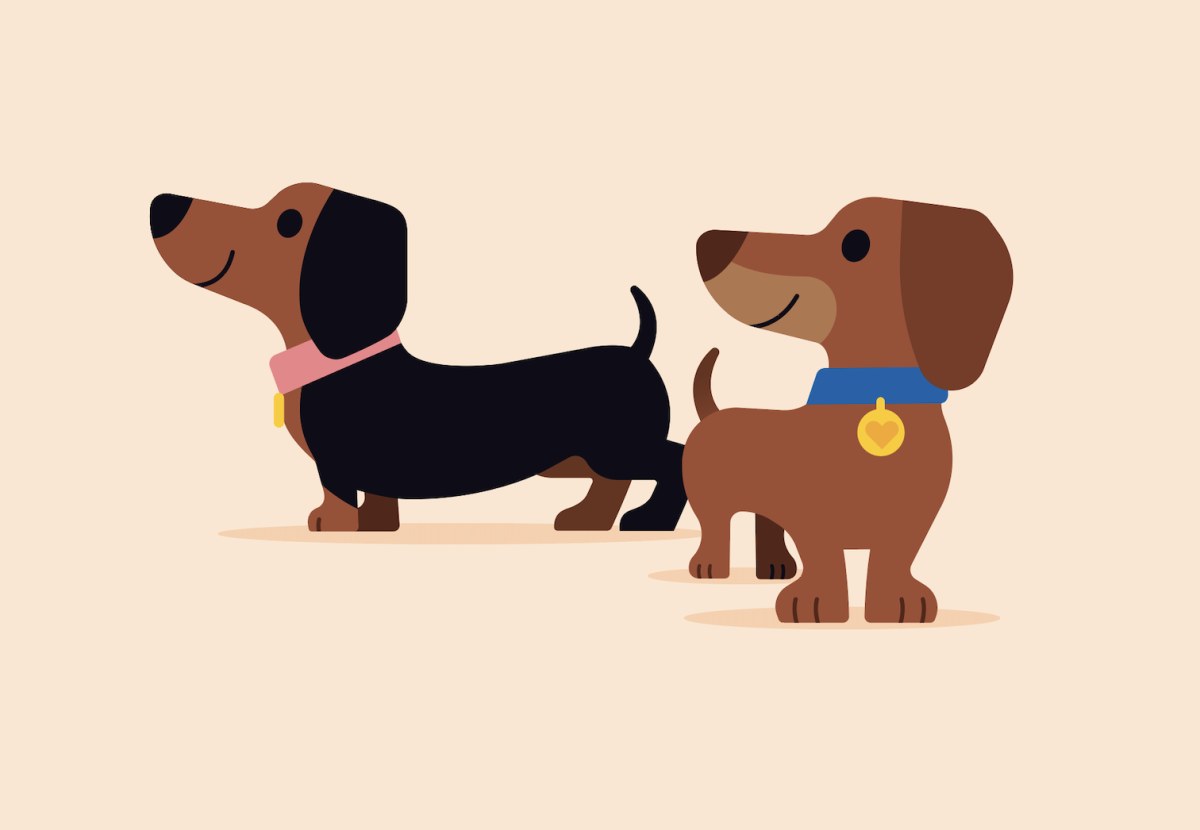 WLS0251 Dachshunds