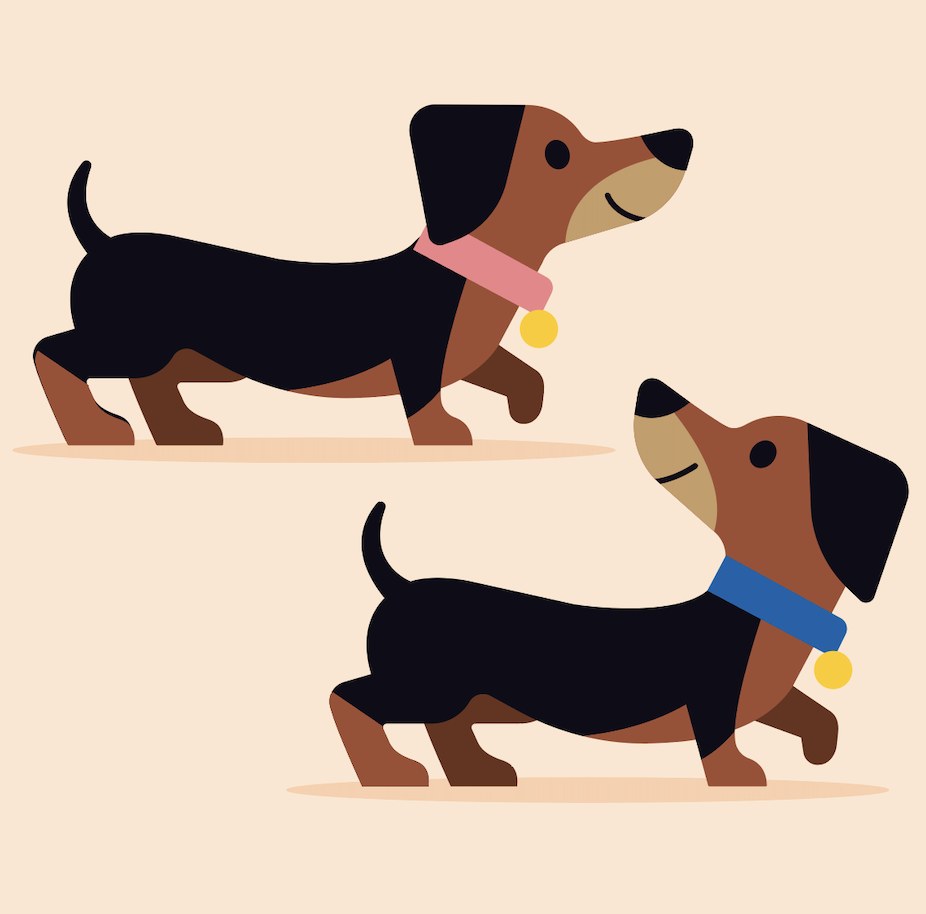 WLS0253 Dachshunds