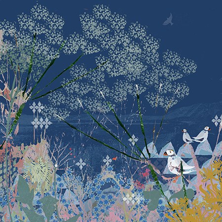 TFL0286 A petal skies Y