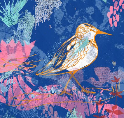 TFL0467 Sandpiper