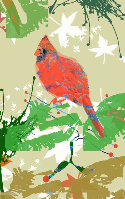 TFL0458 red cardinal  winter bird