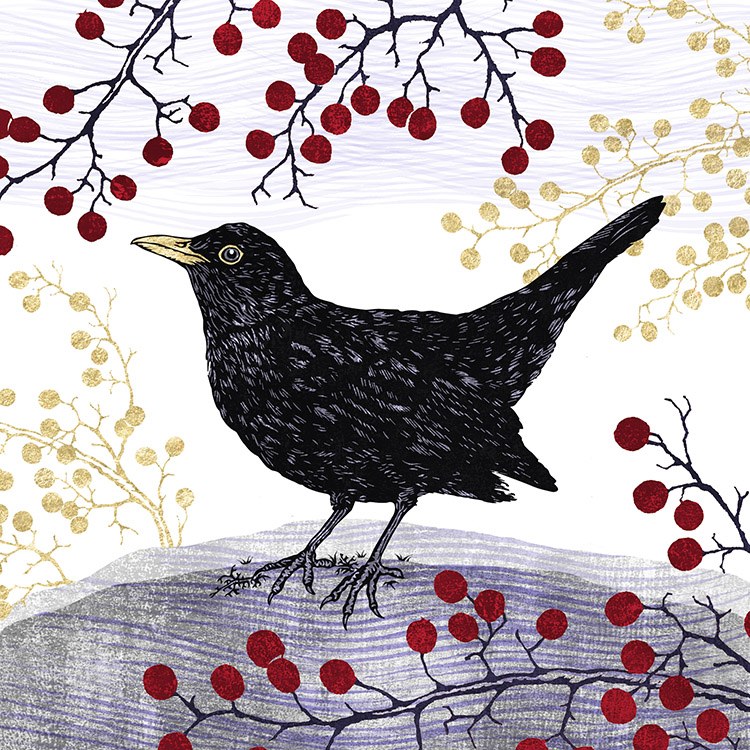 Valerie Greeley VG1023 PGmistletoe Blackbird with red and gold berries
