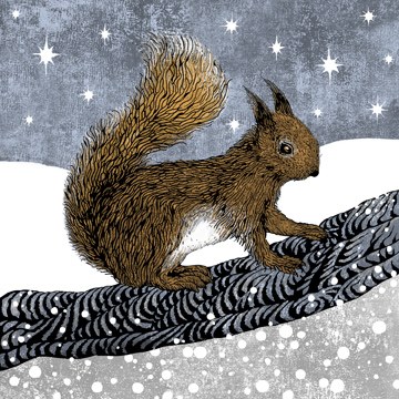 VG0822 squirrel CIBT