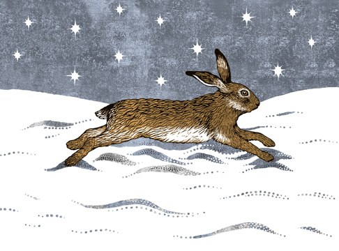VG0823 winter hare GWWEX