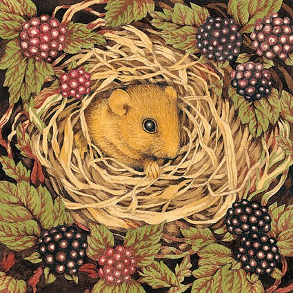 Valerie Greeley VG1028 dormouse