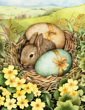 VG1127 baby bunny in nest