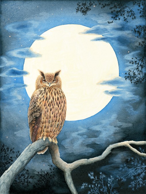 VG0371 owl and moon.jpg PLX