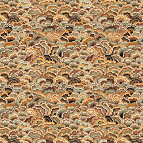 VG0419 Hedgerow fungi PLX