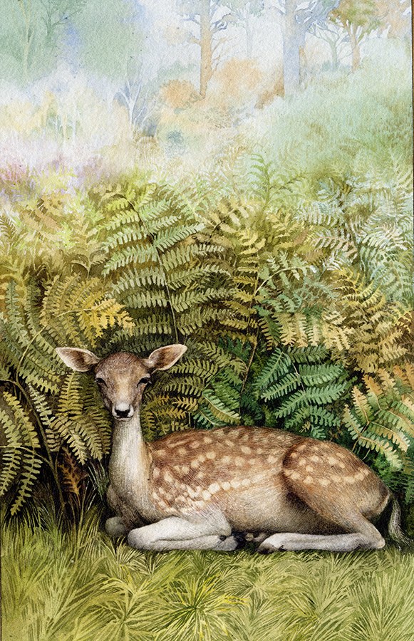 Valerie Greeley VG1041 BOD deer