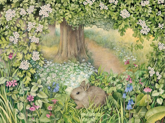 VG0013 May blossom rabbit.jpg PLX