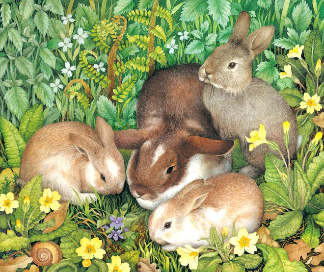 VG0082 Rabbit family PLX