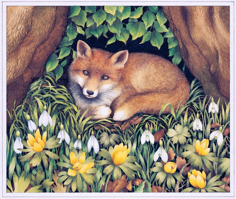 VG0092 Fox PLX