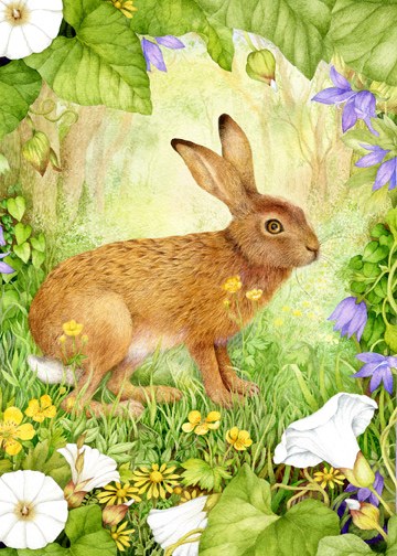 VG0730B  Hare Card 5by7 TFHRA