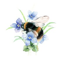 VG0961 bumblebee PW