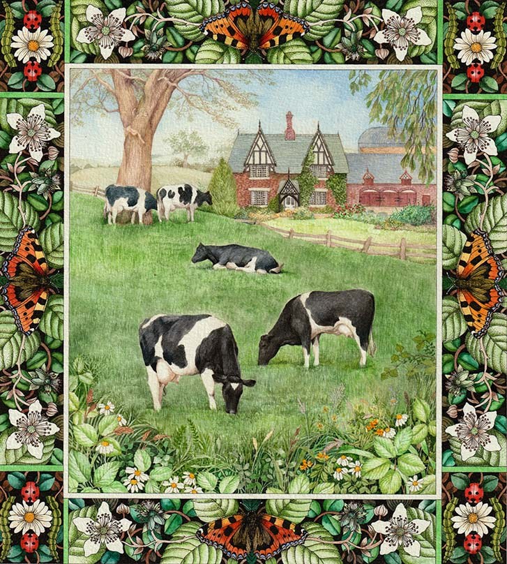 VG1079 TRHRA AAH on the farm