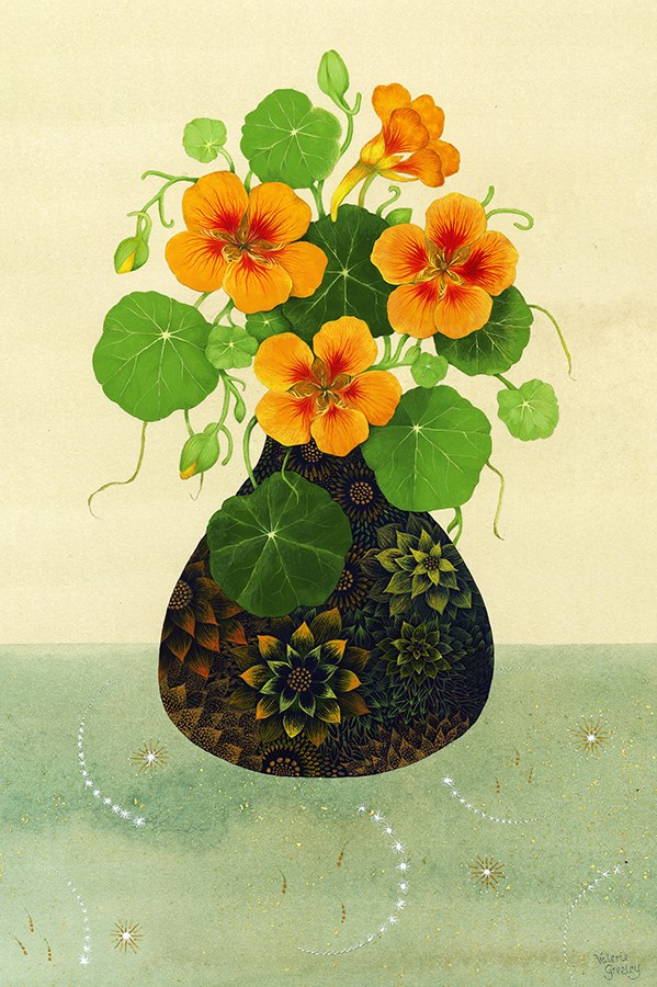 VG1116 November Nasturtiums PLGMH