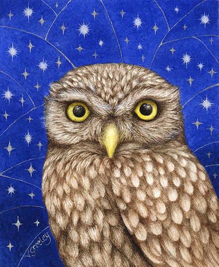 Valerie Greeley VG1046 TFHRA little owl starry sky