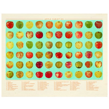 AR AE NLP0151 applevariety