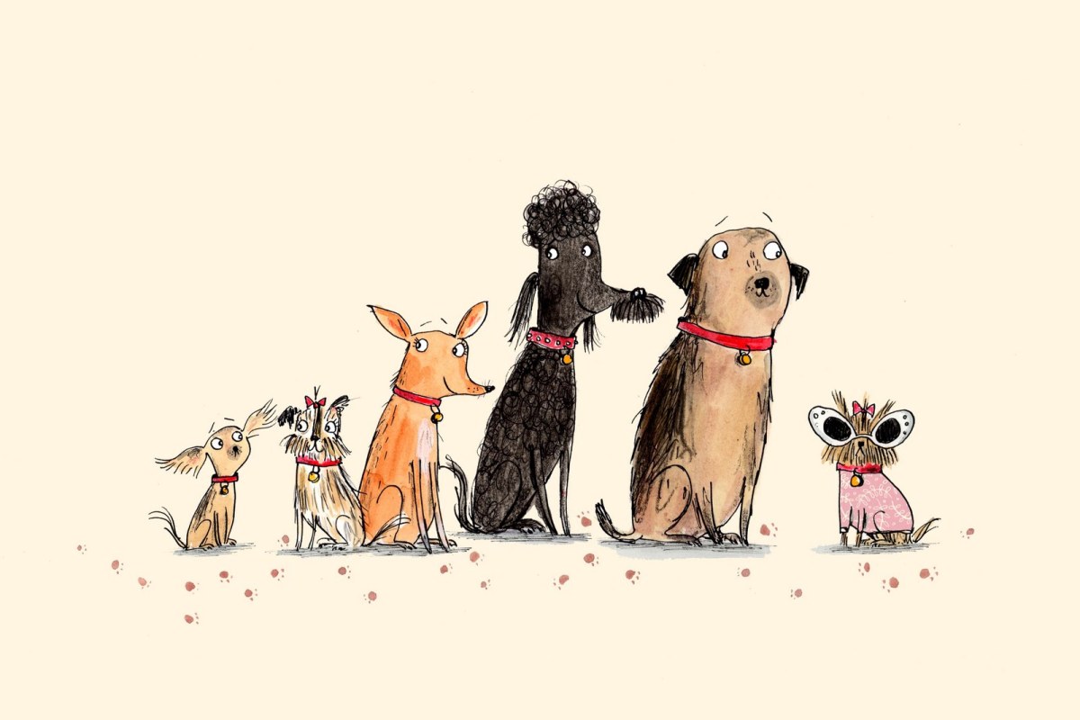 AR ATS0064TheDogs PLGWW Y