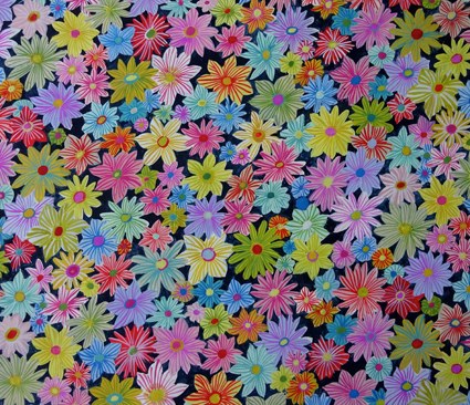 SCD0003 36, our yard daisy garden PLG