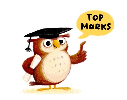 AR EMX0019 emily fox Intellectuowl