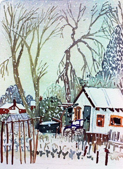 WIN0348 Snowy allotment