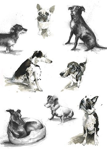 LMK0218dogscompositebwTFHRA Y