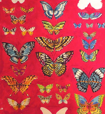 SCD0104 butterflies on red