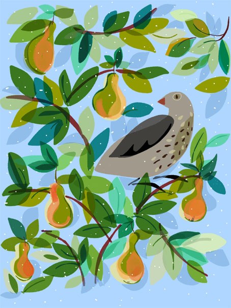 SCD0503 Partridge PearTree