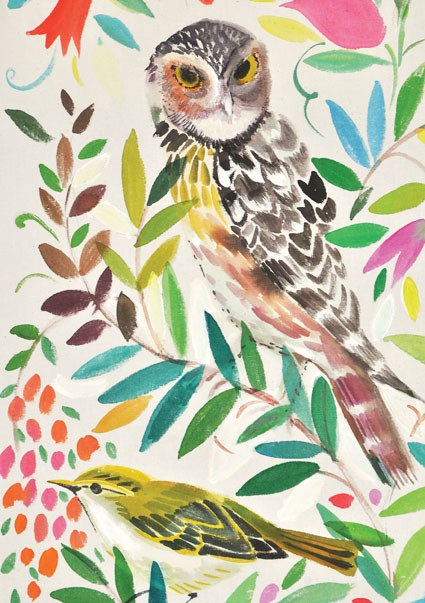 SCD0027 owl portrait
