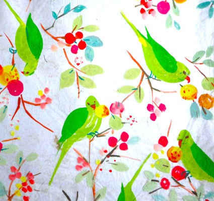 SCD0446 parakeets