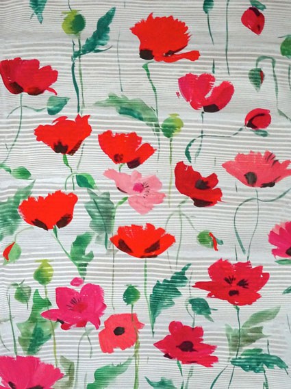 SCD0171 poppies  DSC04702