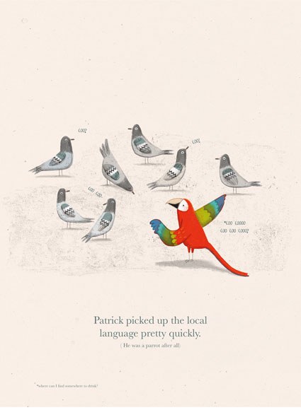 AR KRL0137 PARROT