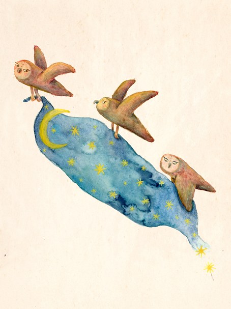 AP ALZ0062 Owls