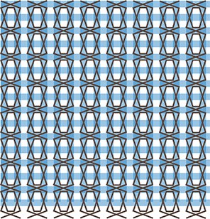 NAN0153 Gingham Patt Y