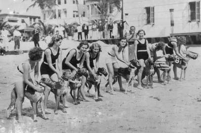 TP EU061609dog racing miami