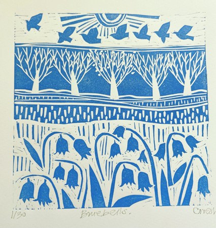 Claire West CWE0266  bluebells
