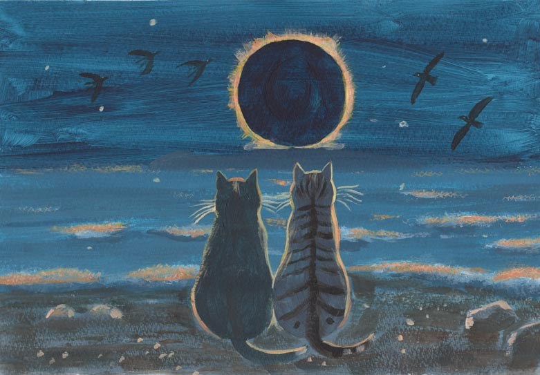 Mary Stubberfield MLS0751eclipsewatchersTFHRA