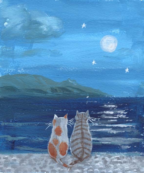 Mary Stubberfield MLS0753nightbeach