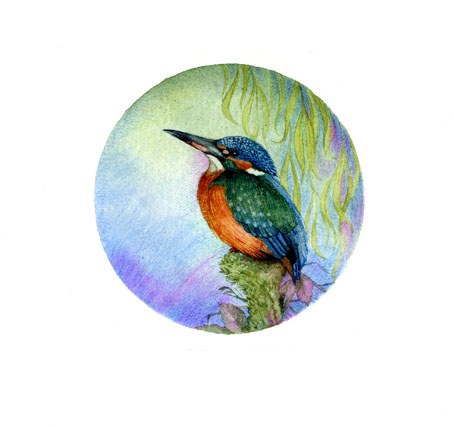 Valerie Greeley VG1136 kingfisher