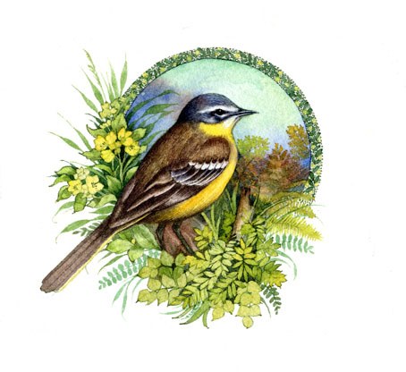 Valerie Greeley VG1141 wagtail
