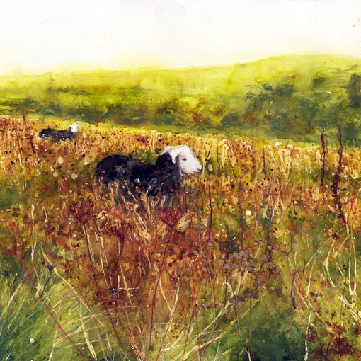 ALC0048 A SheepatSheepcote-Alison Clements