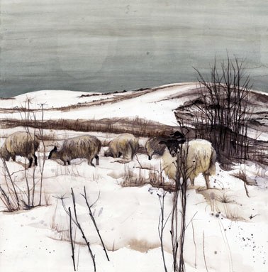 ALC0050 AC SW14   Sheepcote Winter-Alison Clements