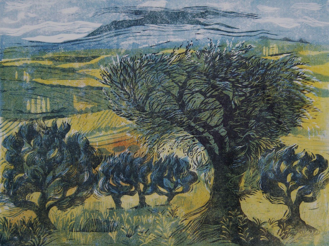 DLE0048olive trees  Diana Leadbetter