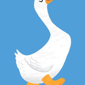 AR DVH0113 M&S duck