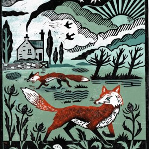 DVH0384 fox